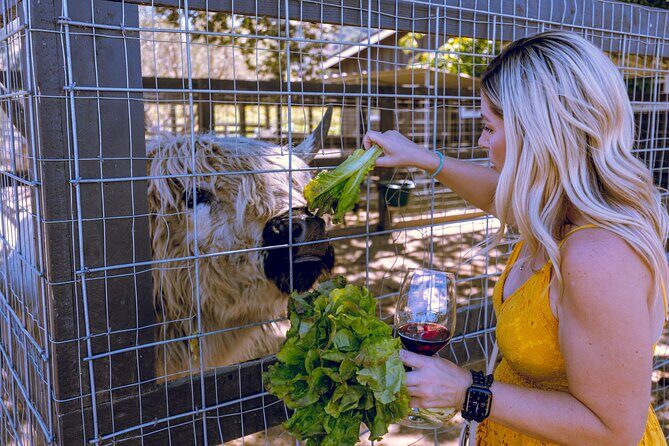 3-Winery Tour Includes Tastings & Lunch from Santa Barbara - FAQ