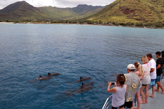 3 Ziplines & Dolphin Watching Snorkel Adventure - Discover the 3 Ziplines & Dolphin Watching Snorkel Adventure in Oahu