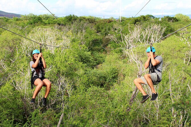 3 Ziplines & Dolphin Watching Snorkel Adventure - Key Points