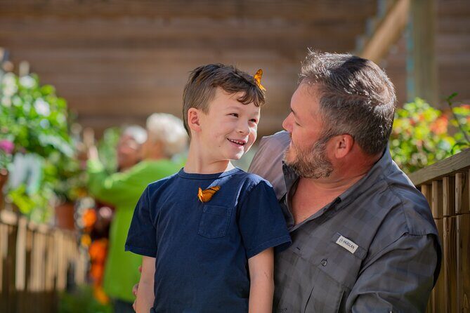 30-Minute Airboat Ride near Orlando - Key Points