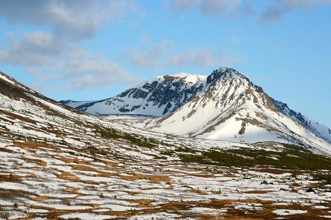 30 Minute Flightseeing Tour from Girdwood - Soar Above Alaska’s Rugged Beauty: A 30-Minute Flightseeing Experience from Girdwood