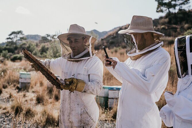 30-Minute Guided Honey Tasting Activity in Melini - Discover Authentic Cypriot Honey in Melini: A 30-Minute Guided Tasting