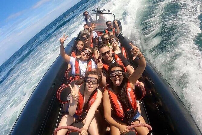 30-Minute Raptor RIB Ride Activity in Torquay - Wildlife & Coastal Highlights