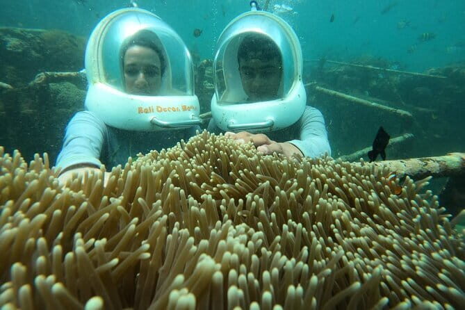 30 Minutes Ocean Walking in Nusa Dua, Bali - FAQ (Frequently Asked Questions)