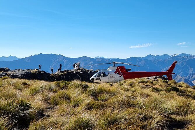 35-Minute Alpine Scenic Flight from Queenstown - Authentic Reviews and What They Say