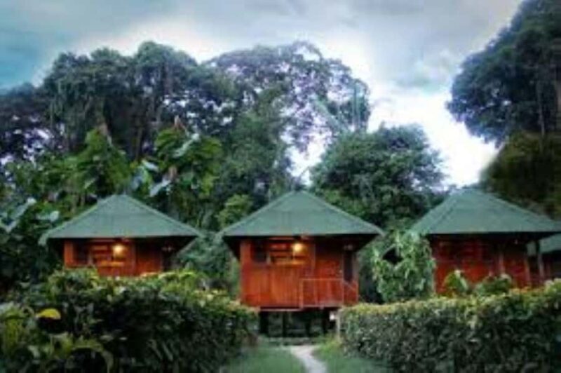 3D Eco Magic Ecoamazon Lodge Puerto Maldonado - Tambopata - Exploring the 3-Day Amazon Jungle Tour in Detail