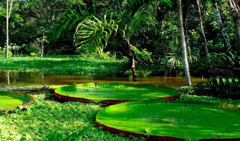 3D Eco Magic Ecoamazon Lodge Puerto Maldonado - Tambopata - FAQs