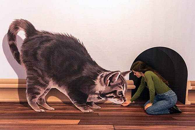 3D Fun Art Museum Funchal - A Deep Dive into the 3D Fun Art Museum Experience