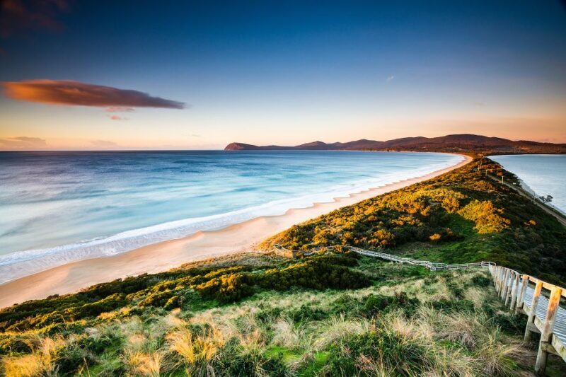 3D Tasmanian Highlights: Hobart, Port Arthur & Bruny Island - Authentic Experiences and Traveler Insights