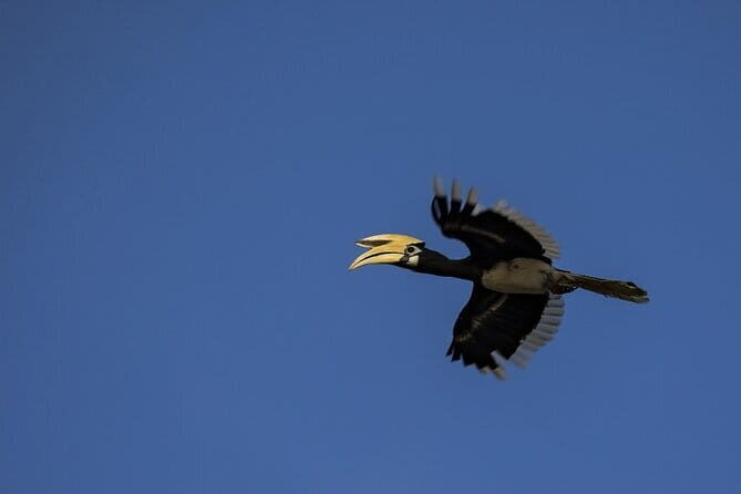 3D2N Kinabatangan River Cruise - The Sum Up: Who Is This Tour Perfect For?