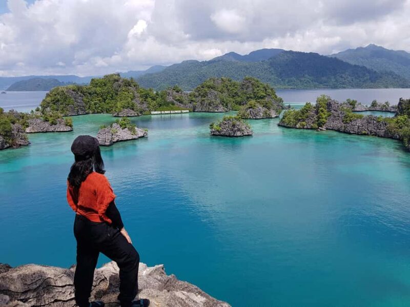 3D2N Labengki-Sombori Island: Private Tour From Kendari - Who Should Consider This Tour?