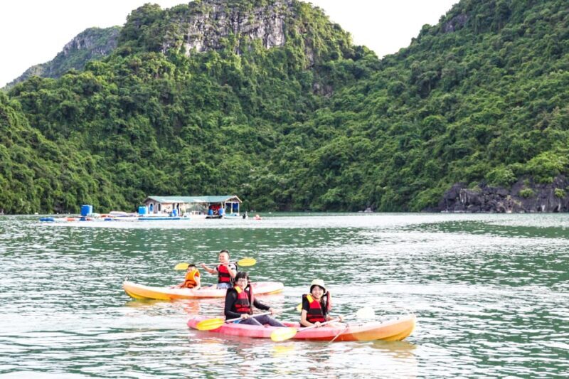 3D2N Lan Ha Bay by Calypso Cruises - Who Should Consider This Tour