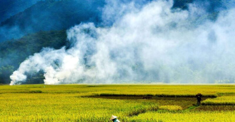 3D2N Mai Chau - Pu Luong from rice valley to nature reserve - Who Will Love This Tour?