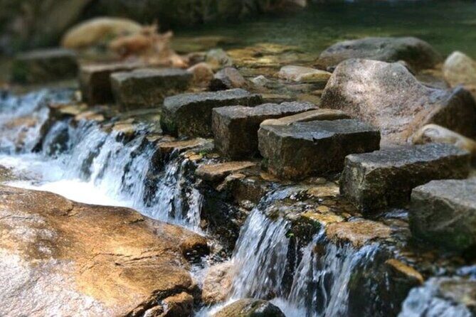 3Day Private Tour to the World's Cultural Heritage Mount Wuyi - A Look into the 3-Day Itinerary