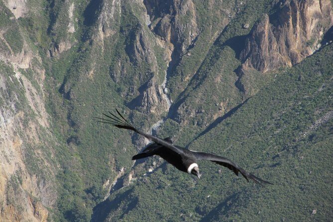 3days: Colca Canyon Trek 3d/2n - An In-Depth Look at the Colca Canyon Trek