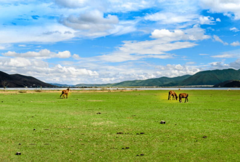 3days Dali Lijiang highlights tour start from Kunming - Practical Tips for the Trip