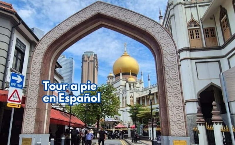 3h Chinatown, Little India,Arab Street SPANISH Walking Tour - Why This Tour Works for Travelers