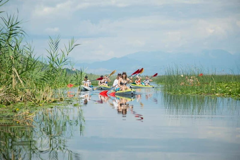3h Guided Kayaking Adventure on Skadar Lake to hidden spots! - Experience the Serenity of Skadar Lake in Montenegro: A Practical Guide to the 3-Hour Guided Kayaking Adventure