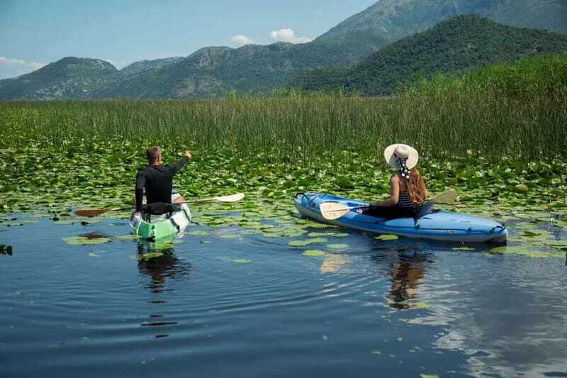 3h Guided Kayaking Adventure on Skadar Lake to hidden spots! - Why This Tour Offers Great Value