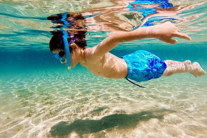 3h Private Cruise + Drinks, Snorkel & Paddle - The Experience: What to Expect from Start to Finish