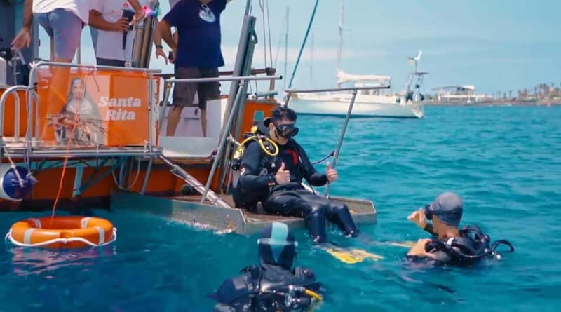 3H Shared Barrier-Free Cruise with Turtles Dolphins & Whales - A Close-Up Look at the 3-Hour Barrier-Free Cruise with Turtles, Dolphins & Whales