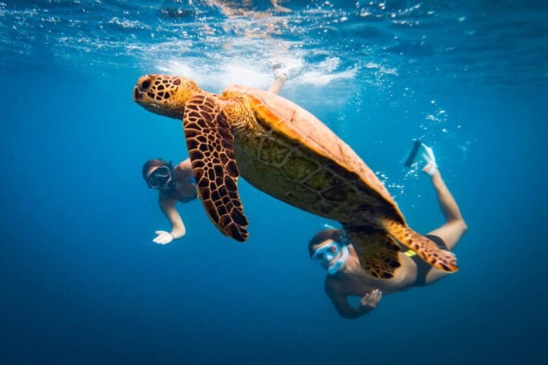 3h Snorkeling tour: Marianna shipwreck- Parthena- Kastraki - Key Points