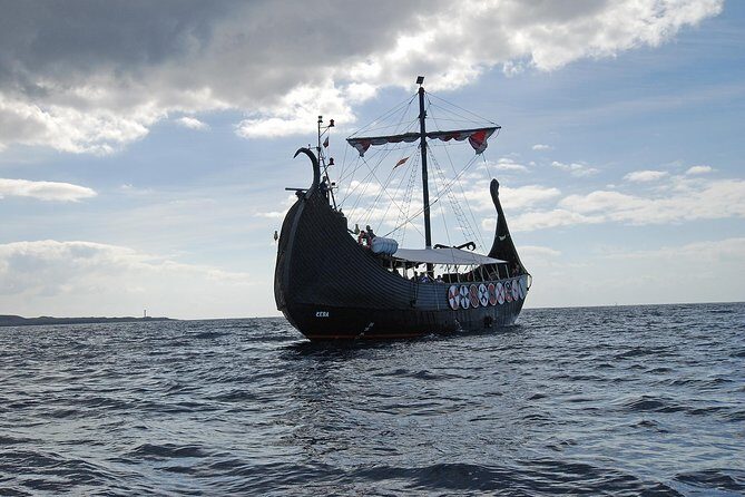 3h Viking Cruise with Drinks, Whales watching & Swimming Time - The Sum Up: Who Should Consider This Cruise?
