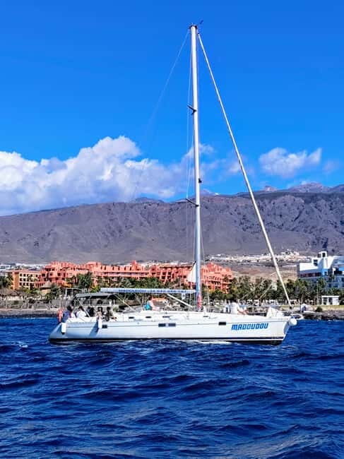 3h Whale Watching Private tour Beneteau Oceanis 440 - Why This Tour Offers Value