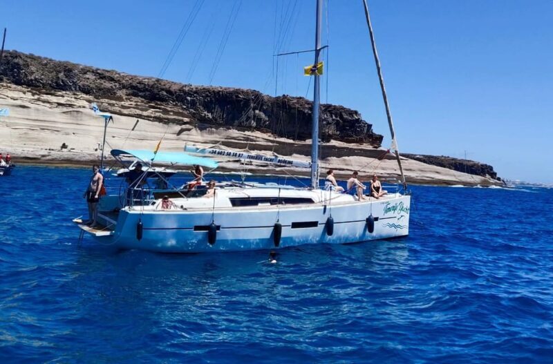 3h Whale Watching Private Tour Costa Adeje Lina7 Mizendoha - The Sum Up