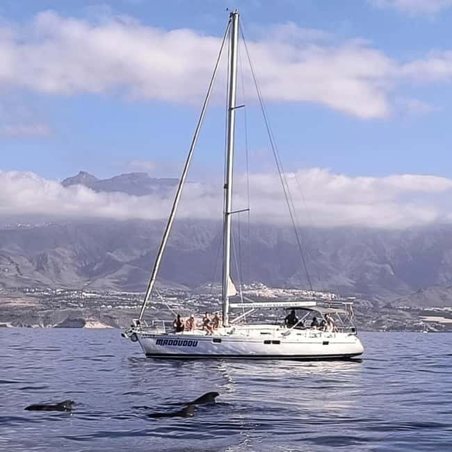 3h Whale Watching Share Tour Beneteau Oceanis 440 - FAQ