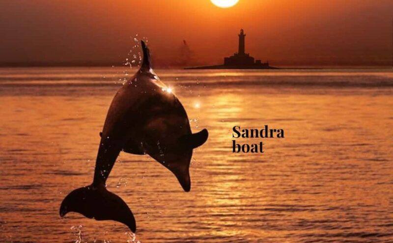 3hours Dolphin Sunset watching with unlimited drinks +dinner - Introduction