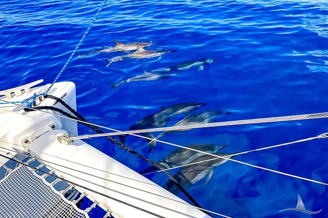 3hr Luxury Private Sailing Catamaran in Waikiki for 1 to 6 People - Analyzing the Cost and Experience