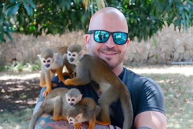 3X1 Adventure Waterfalls, Monkeys & Buggies In Puerto Plata - The Practical Details