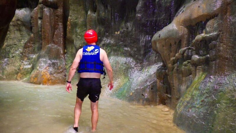 3x1: Monkeyland Damajagua Falls & Buggy Tour Puerto plata - Key Points