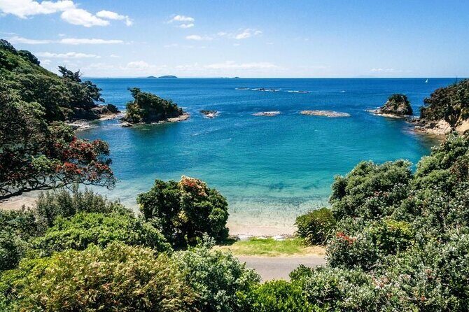 4.5-Hour Scenic Wine Tour with Private Guide & Up to 12 Tastings - An In-Depth Look at the Waiheke Island Wine Tour