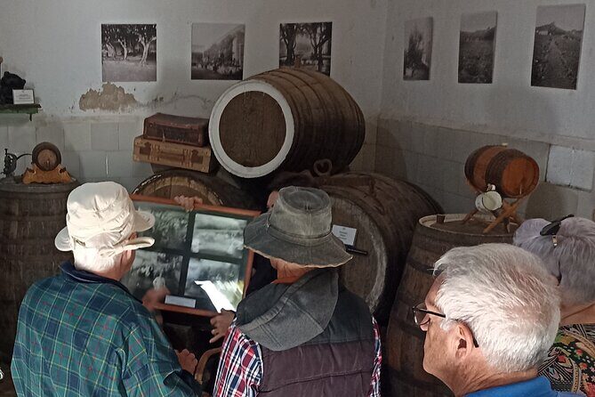 4.5 hours Private tour, the best and highlights of Gran Canaria. - FAQ
