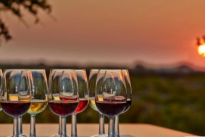 4.5 Hours Through the Grapevine Semi Private Wine Tour - Exploring the Experience: A Deep Dive into the Tour