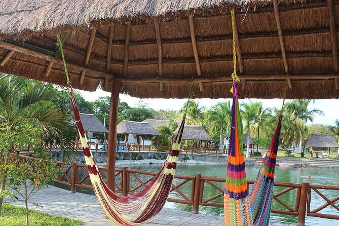 4 Cenotes Full Day Tour from Merida - Who Should Book This Tour?