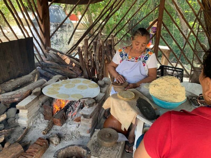 4 Cenotes with Bike, Lunch, Guide, and Pickup from Mérida - Key Points