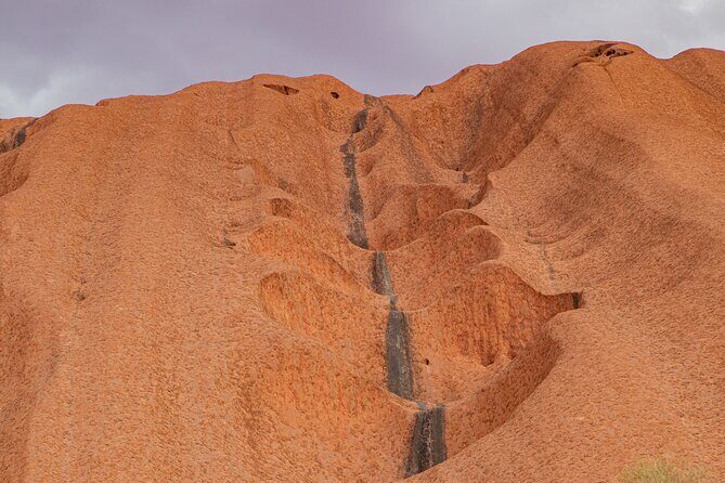 4 Day 3 Night Outback Escape from Ayers Rock - Final Thoughts