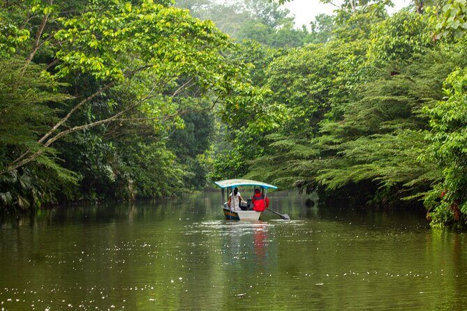 4-Day All-Inclusive Amazon Adventure: Explore Napo's Rainforest - Final Thoughts
