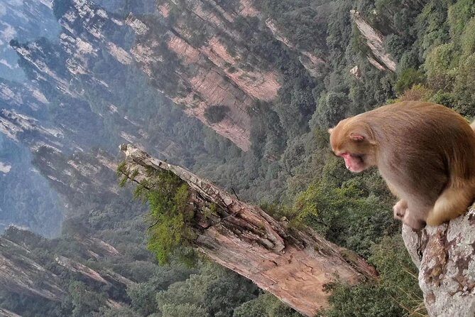 4-day All Inclusive Tour to Zhangjiajie & Fenghuang from Changsha - Frequently Asked Questions