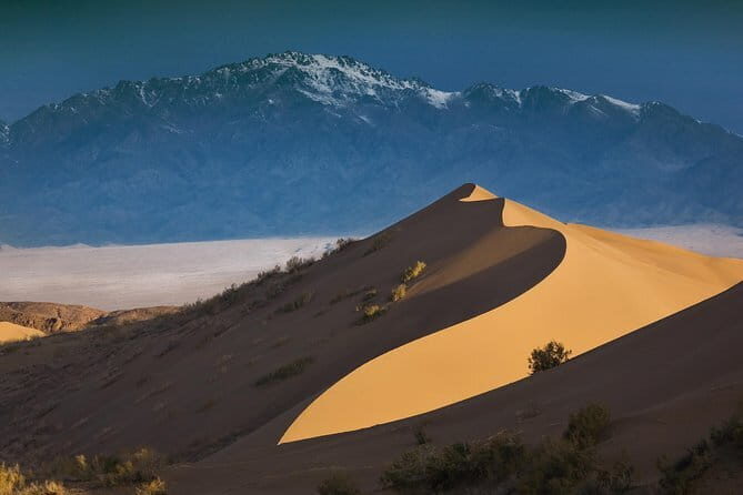 4-Day Altyn Emel Park + Kolsai & Kaindy Lakes + Charyn Canyon jeep-tour - What the Tour Includes and What to Expect