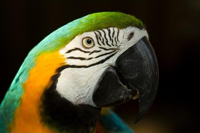 4-Day Amazon Eco-lodge Tour from Puerto Maldonado - Key Points