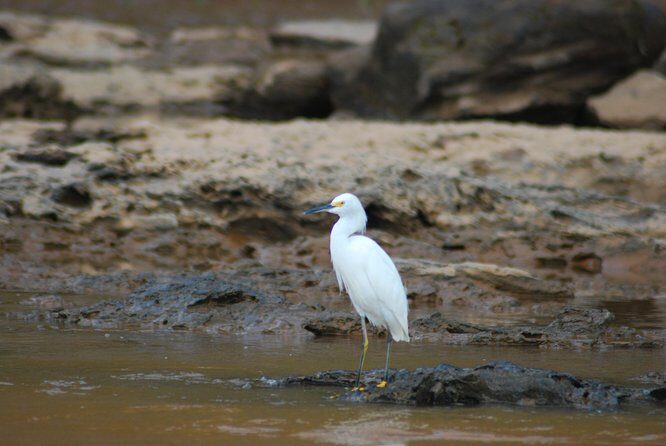 4-Day Amazon Jungle Tour at Eco Amazonia Lodge - Final Thoughts