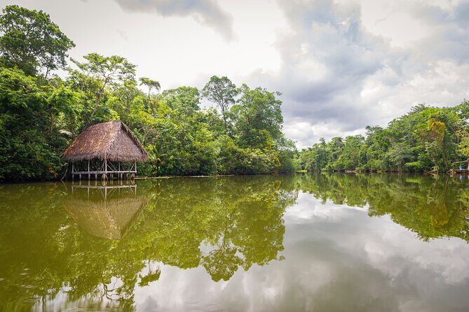 4-Day Amazon Jungle Tour From Iquitos - The Sum Up