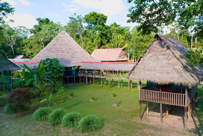 4-Day Amazon Jungle Tour in Iquitos at Curassow Amazon Lodge - Exploring the 4-Day Amazon Jungle Tour in Detail