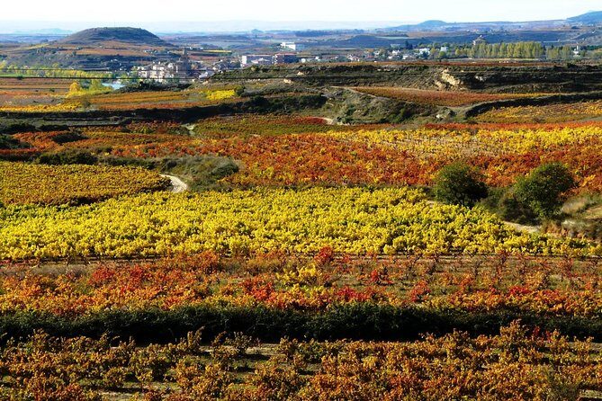 4 Day Basque Country Tour: San Sebastian, Biarritz, Bilbao and Rioja - FAQ