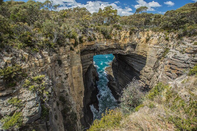 4 Day Bundle - Hobart, Port Arthur, Bruny, Hastings and Tahune - Exploring Tasmania in Four Days: A Complete Review