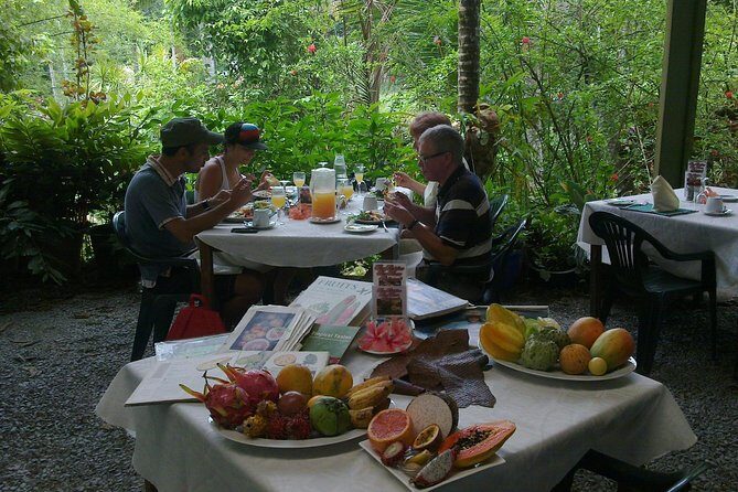 4 Day Cairns: Daintree Rainforest, Reef, Kuranda & Paronella Park - The Sum Up